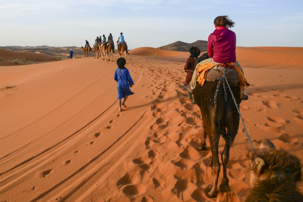 Tourists on camels with guides in Moroccan Sahara on a desert camel tour