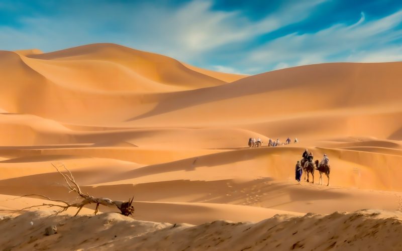 Caravan in the Sahara Desert in Morocco