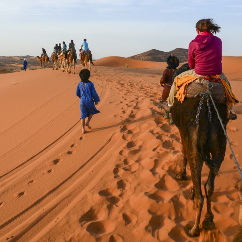 Tourists on camels with guides in Moroccan Sahara on a desert camel tour